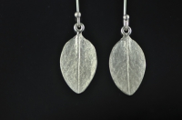 Muttonbird scrub Sterling silver earrings