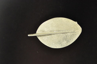 Broadleaf Silver Brooch